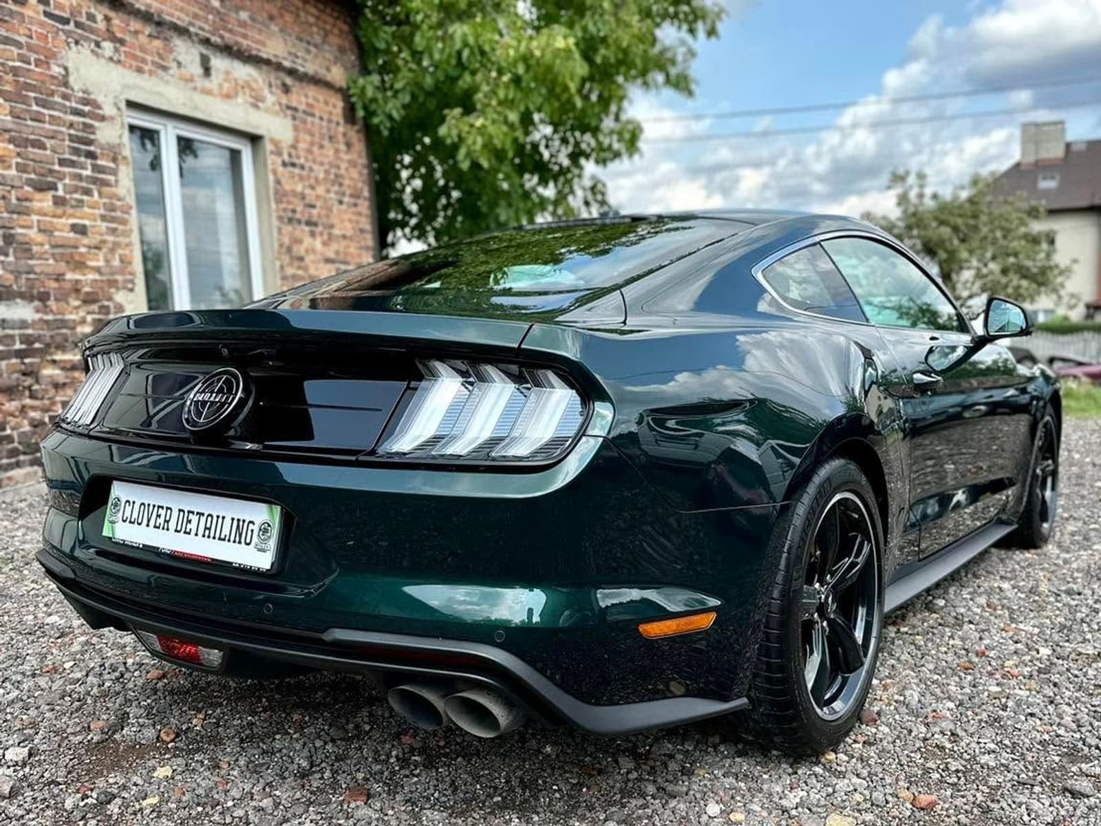Ford Mustang Bullitt po detailingu - tył