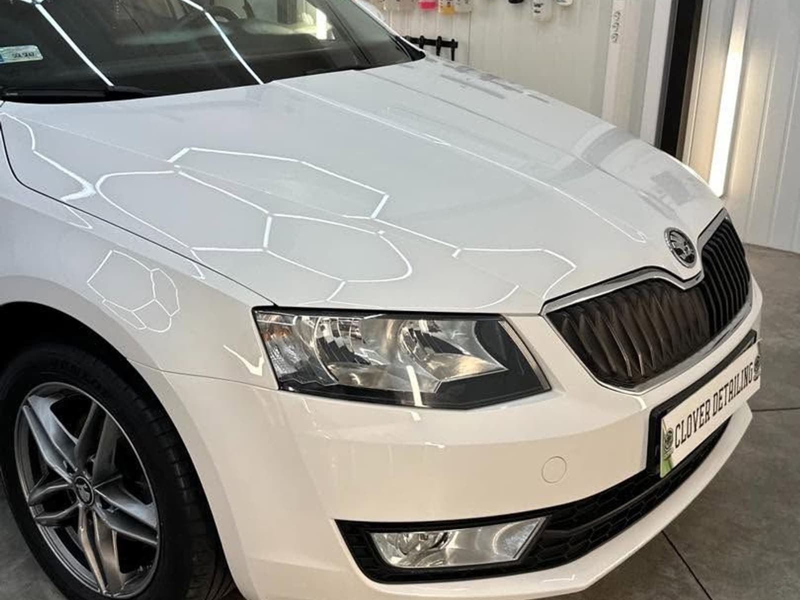Biała Škoda Octavia po detailingu lakieru